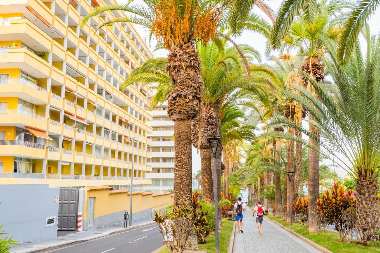 Live Puerto Las palmeras Puerto de la Cruz  Exterior foto